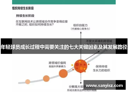 年轻球员成长过程中需要关注的七大关键因素及其发展路径