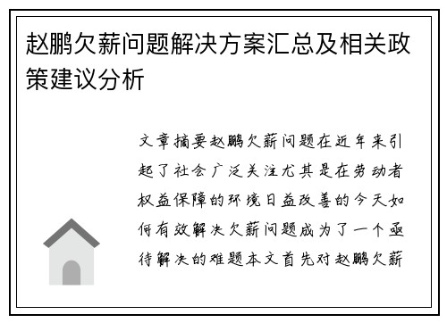 赵鹏欠薪问题解决方案汇总及相关政策建议分析